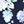 Navy Blue Multi