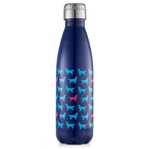 wellness double wall stainless steel bottle