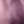 Pink Berry Ombre