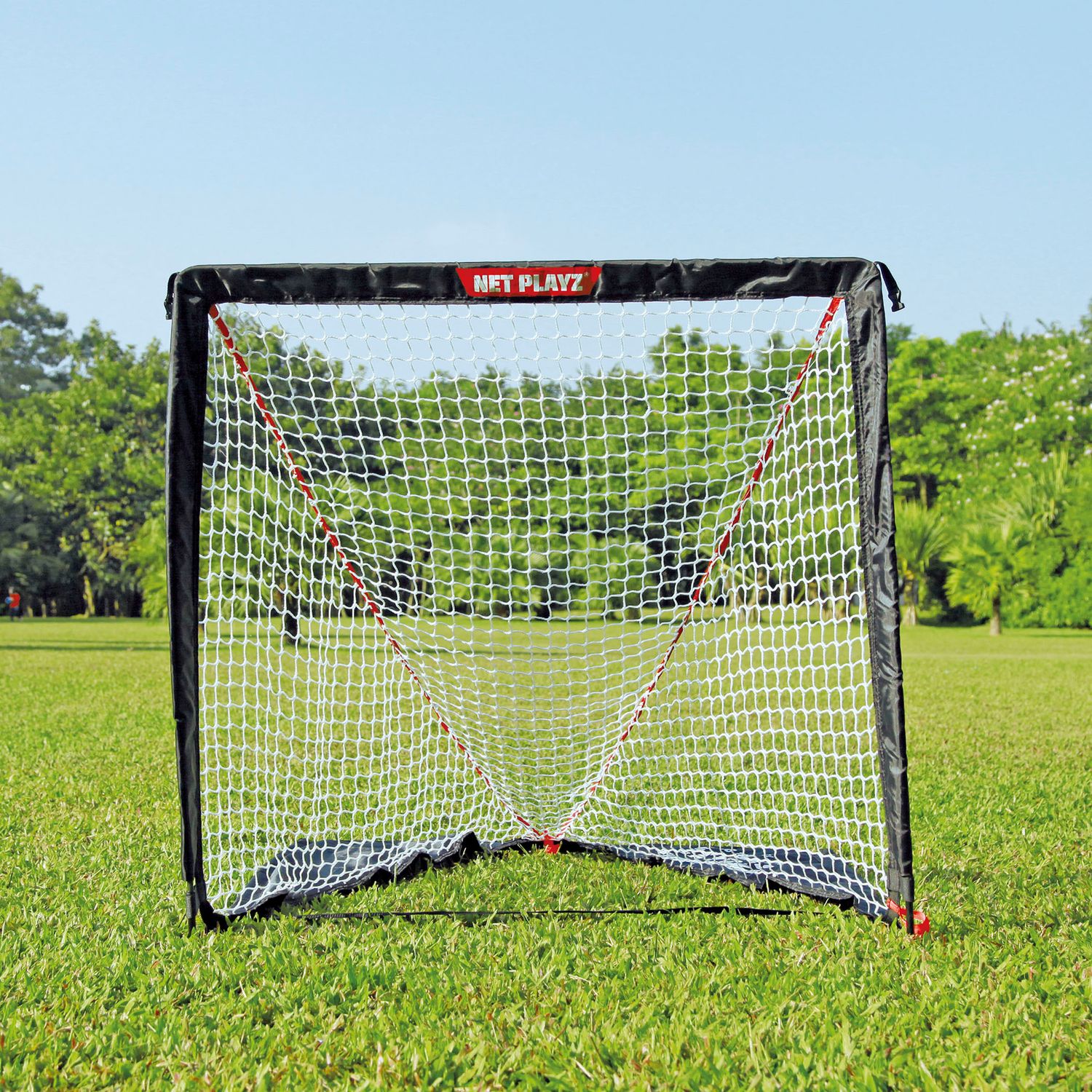 net playz lacrosse goal