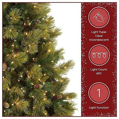 National Tree Company 6.5-ft. Pre-Lit Carolina Pine Artificial Christmas Tree