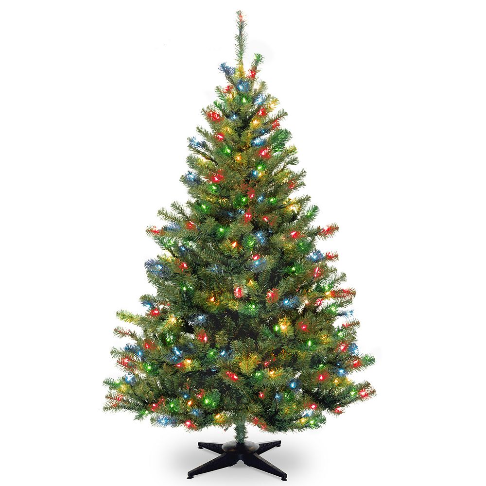 4 ft. Kincaid Spruce Tree main image 0
