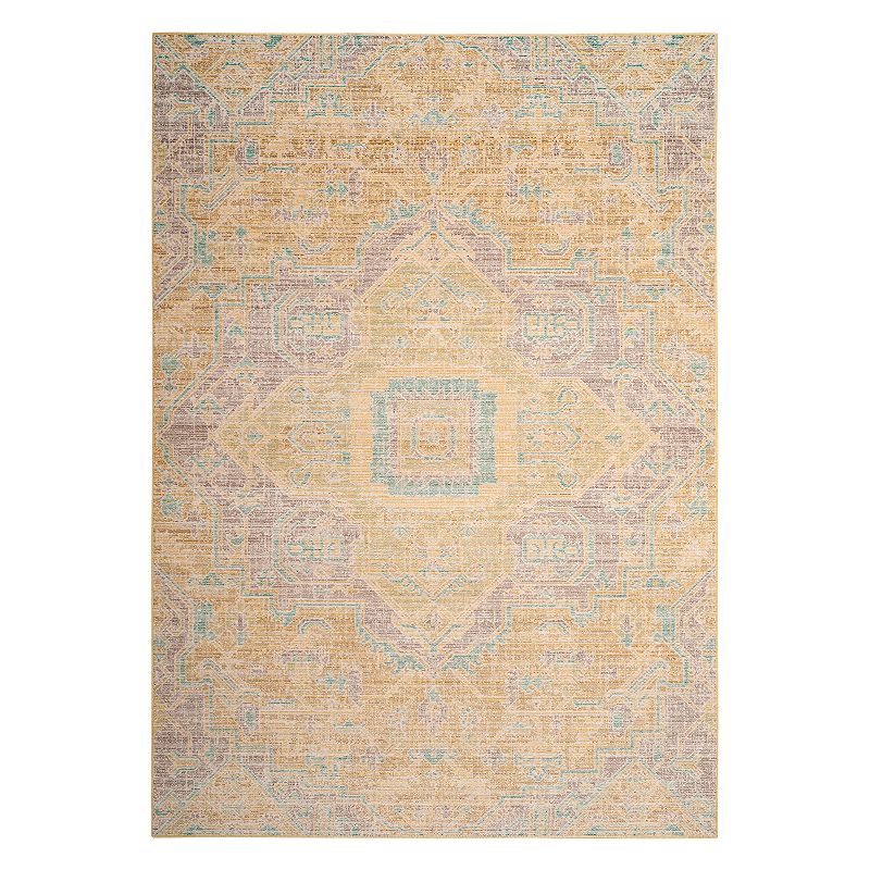 Safavieh Windsor Aiden Framed Medallion Rug, Grey, 5X7 Ft