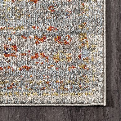 nuLOOM Distressed Persian Sarita Framed Floral Area Rug