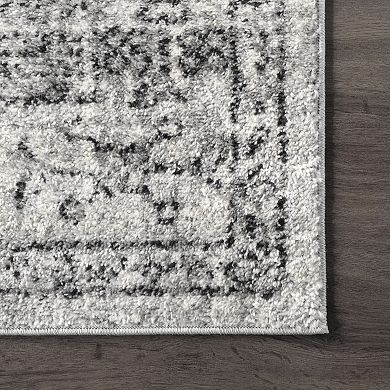 nuLOOM Vintage Waddell Framed Floral Rug