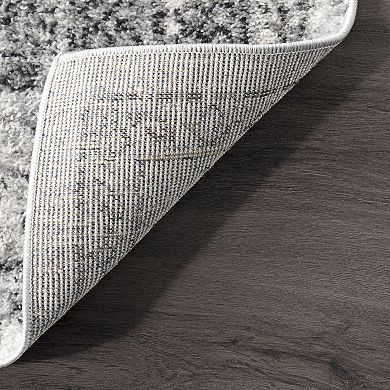 nuLOOM Vintage Waddell Framed Floral Rug