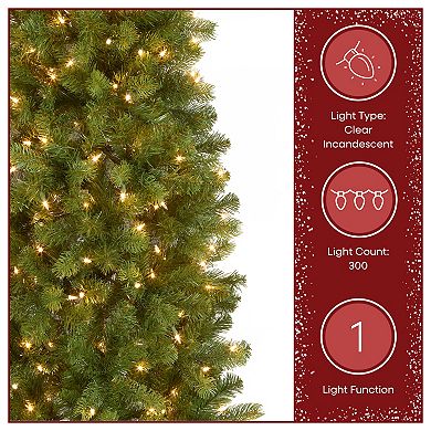 National Tree Company 6.5-ft. Pre-Lit Downswept Douglas Fir Pencil Slim Artificial Christmas Tree