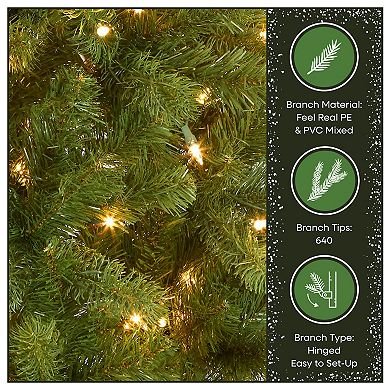 National Tree Company 6.5-ft. Pre-Lit Downswept Douglas Fir Pencil Slim Artificial Christmas Tree