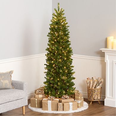 National Tree Company 6.5-ft. Pre-Lit Downswept Douglas Fir Pencil Slim Artificial Christmas Tree
