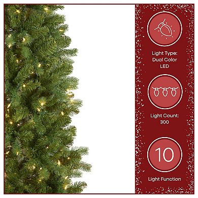 National Tree Company 6.5-ft. Pre-Lit LED Downswept Douglas Fir Pencil Slim Artificial Christmas Tree