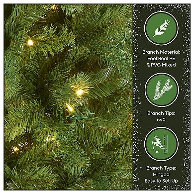 National Tree Company 6.5-ft. Pre-Lit LED Downswept Douglas Fir Pencil Slim Artificial Christmas Tree