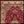 Red Ivory