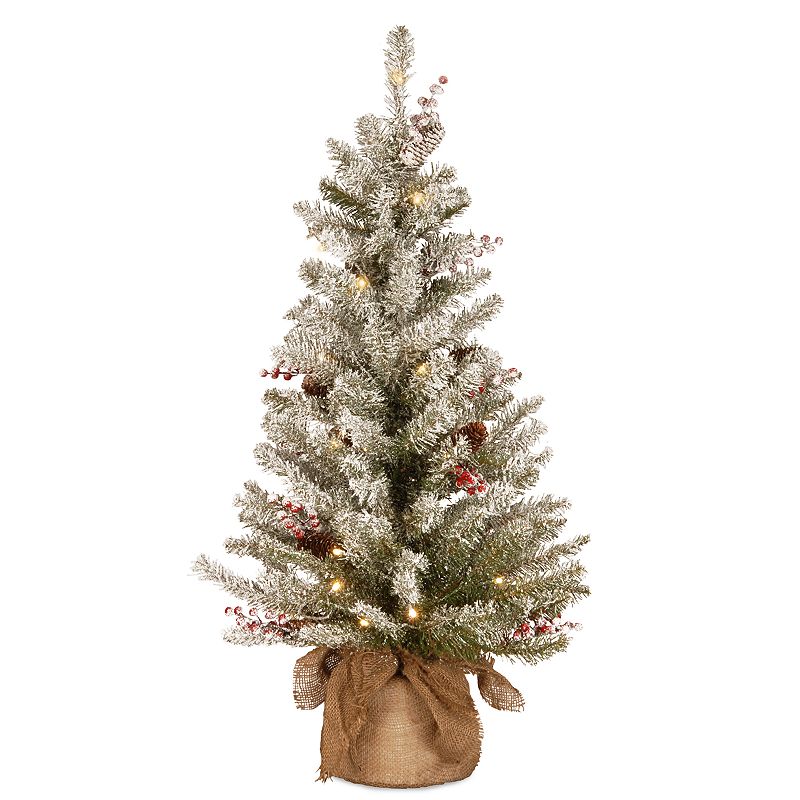 National Tree Company 3-ft. Pre-Lit Dunhill Fir Artificial Christmas Tree, 