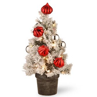 National Tree Company 2-ft. Pre-Lit Snowy Bristle Pine Artificial Christmas Tree