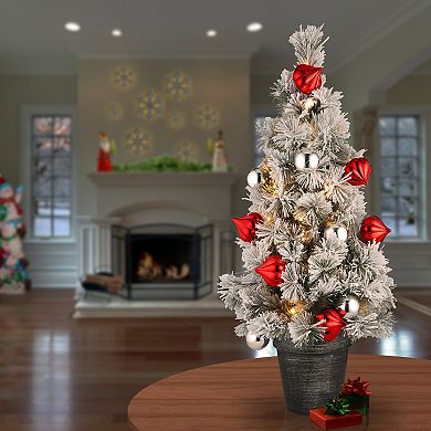 National Tree Company 2-ft. Pre-Lit Snowy Bristle Pine Artificial Christmas Tree