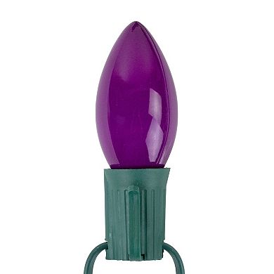 Northlight 25-Light Opaque Magenta Indoor / Outdoor Christmas Lights