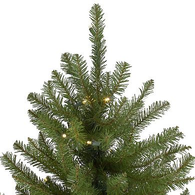 Northlight 4-ft. Pre-Lit Northern Pine Artificial Christmas Tree