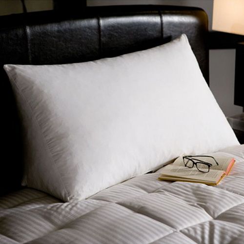 Downlite White Goose Down & Feather Reading Wedge Pillow