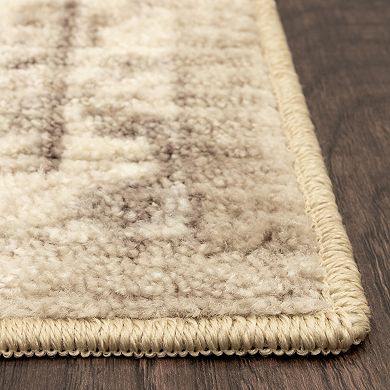 Sonoma Goods For Life Windsor Distressed & Washable Rug