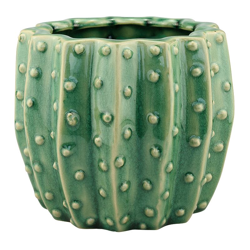 Stonebriar Collection Ceramic Cactus Planter, Green
