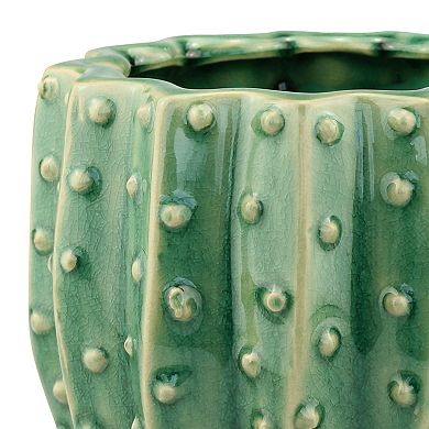 Stonebriar Collection Ceramic Cactus Planter