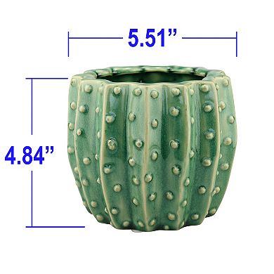 Stonebriar Collection Ceramic Cactus Planter