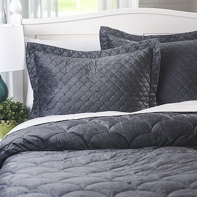 Allied Home Nikki Chu Layla Quilted Sham