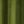 Dark Yellow Green