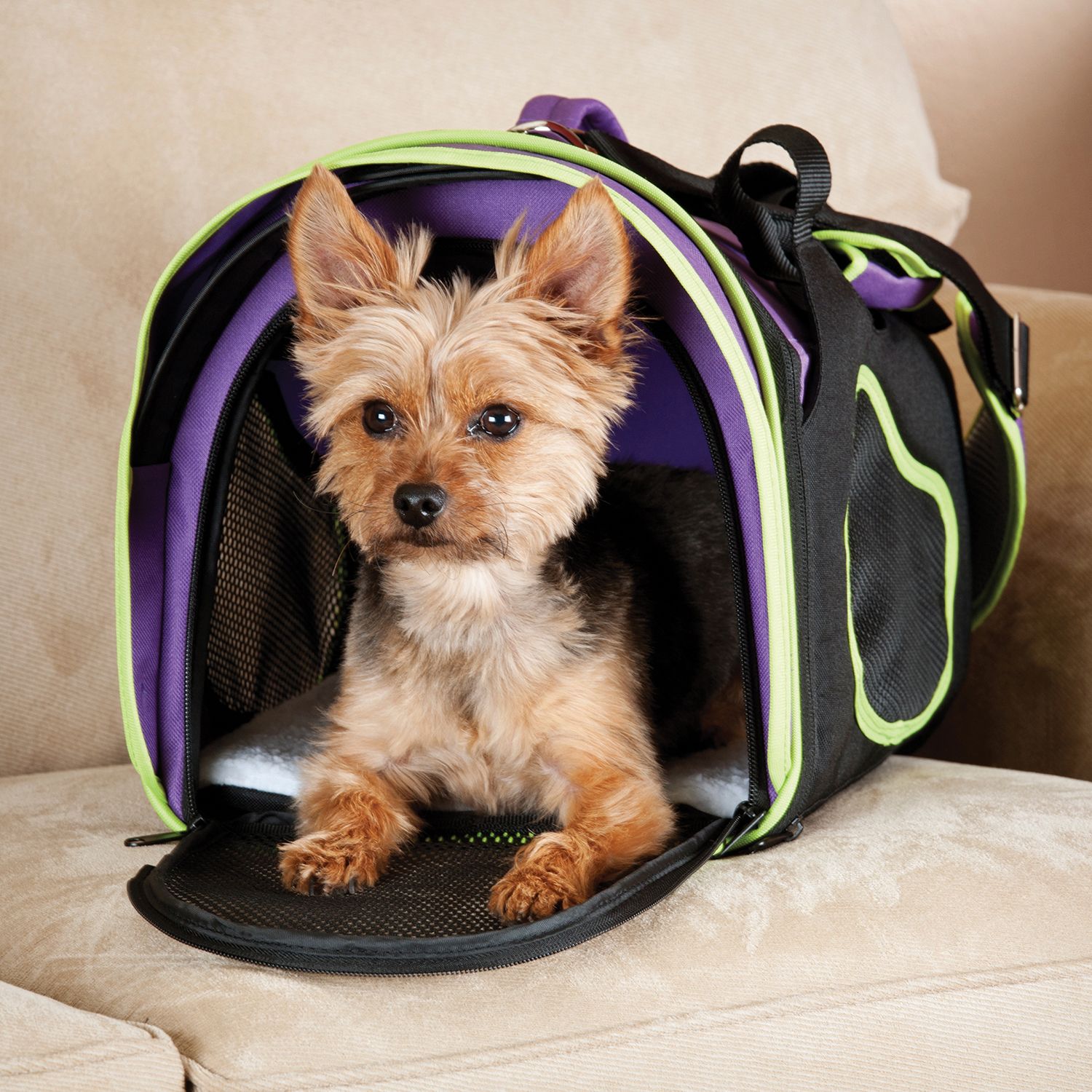 kohls pet carrier