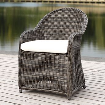 Safavieh Indoor / Outdoor Wicker Arm Chair