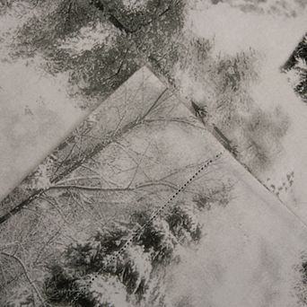 Celeste Home Cotton Flannel Sheet Set