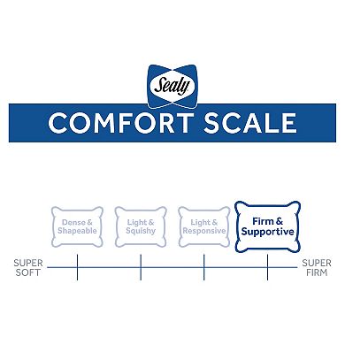 Sealy Elite Maintains Shape Extra Firm Foam Core Support Pillow