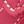 Pink Ombre