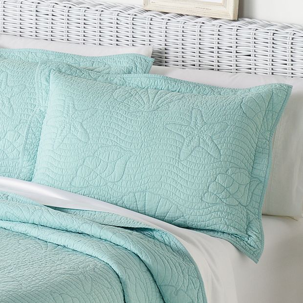 Kohls home classics store pillows