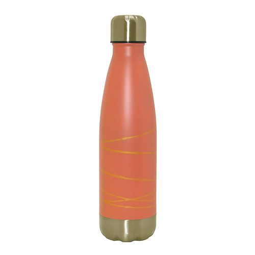wellness double wall stainless steel bottle