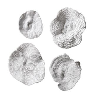 Sea Coral (Set of 4)