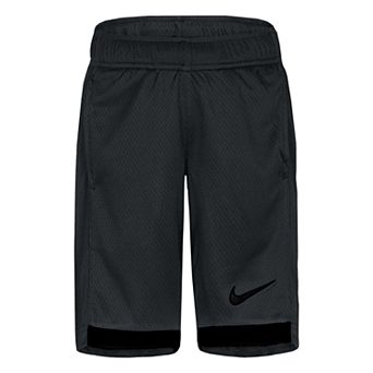 Boys 4-7 Nike Logo Trophy Shorts