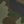 Olive Grove Camo