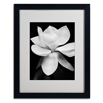 Trademark Fine Art Magnolia Framed Wall Art