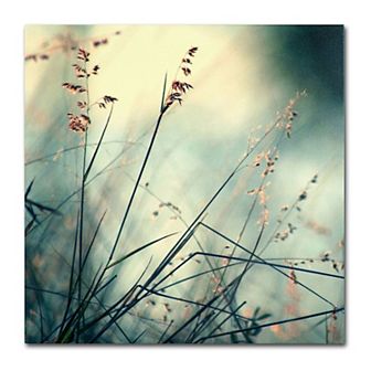 Trademark Fine Art About Hope Canvas Wall Art