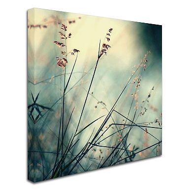 Trademark Fine Art About Hope Canvas Wall Art