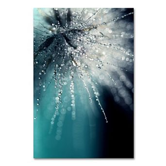 Trademark Fine Art Morning Sonata Canvas Wall Art