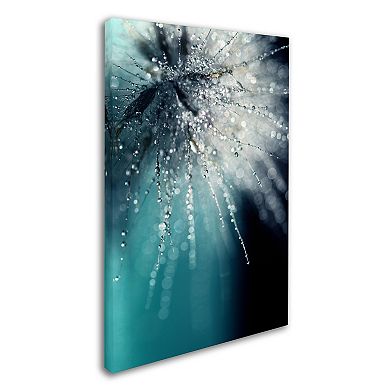 Trademark Fine Art Morning Sonata Canvas Wall Art