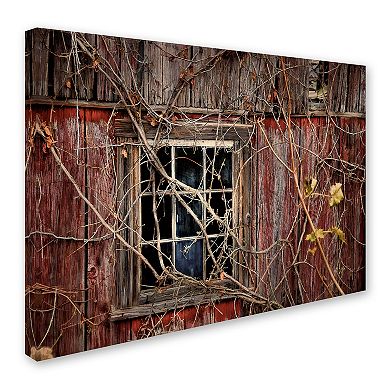 Trademark Fine Art Old Barn Window Canvas Wall Art