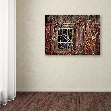 Trademark Fine Art Old Barn Window Canvas Wall Art