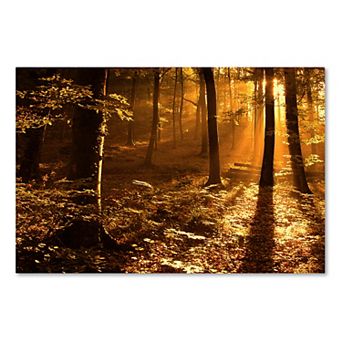 Trademark Fine Art Morning Light Canvas Wall Art