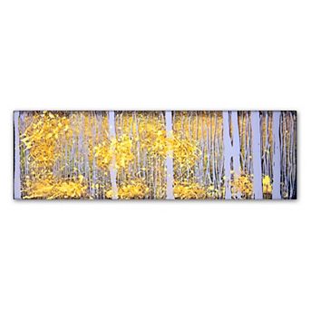 Trademark Fine Art Panor Aspens Gray Forest Canvas Wall Art