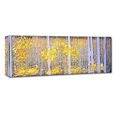 Trademark Fine Art Panor Aspens Gray Forest Canvas Wall Art