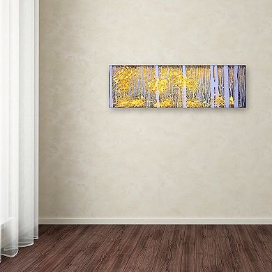 Trademark Fine Art Panor Aspens Gray Forest Canvas Wall Art