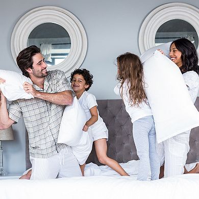 Portsmouth Home Bamboo Charcoal Infused Memory Foam Body Pillow